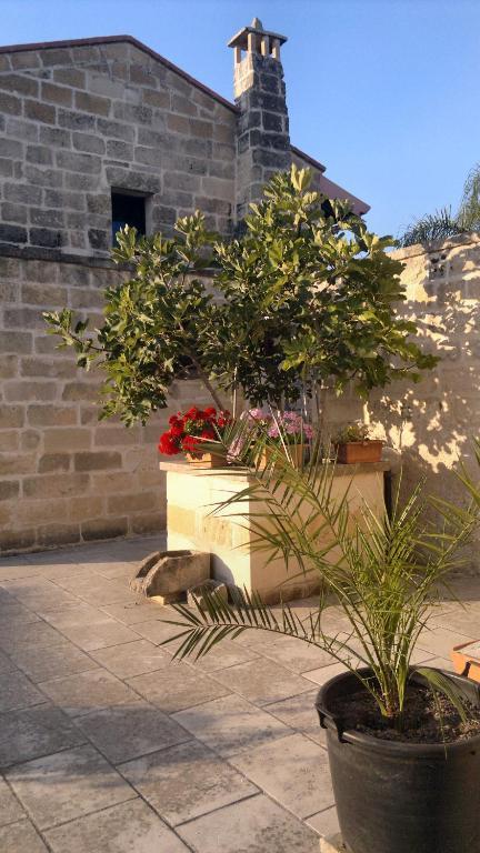 Masseria Grande Ξενοδοχείο Torre dell'Orso Εξωτερικό φωτογραφία