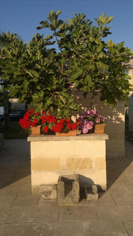 Masseria Grande Ξενοδοχείο Torre dell'Orso Εξωτερικό φωτογραφία